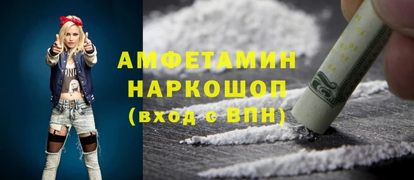 индика Горняк