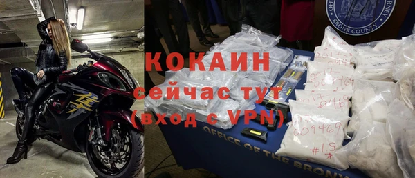 твердый Михайлов