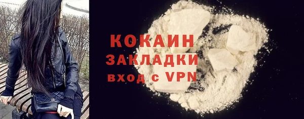твердый Михайлов
