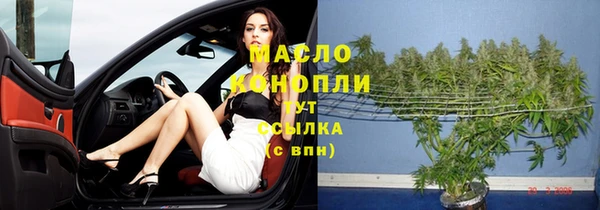 твердый Михайлов