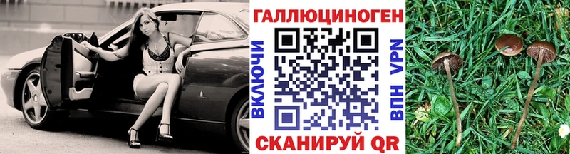 Псилоцибиновые грибы Psilocybine cubensis  Пойковский 